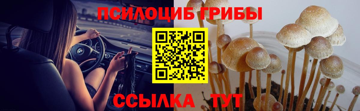 Галлюциногенные грибы Magic Shrooms Павлово